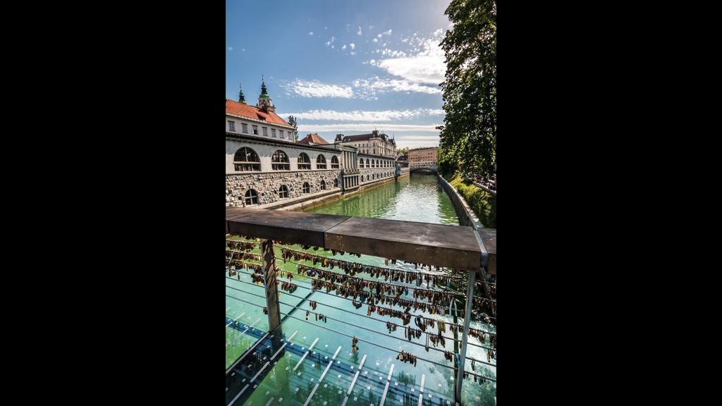Bright Apartment Ljubljana Dış mekan fotoğraf